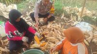 Gambar WhatsApp 2025-10-27 pukul 09.52.31_dbaad478