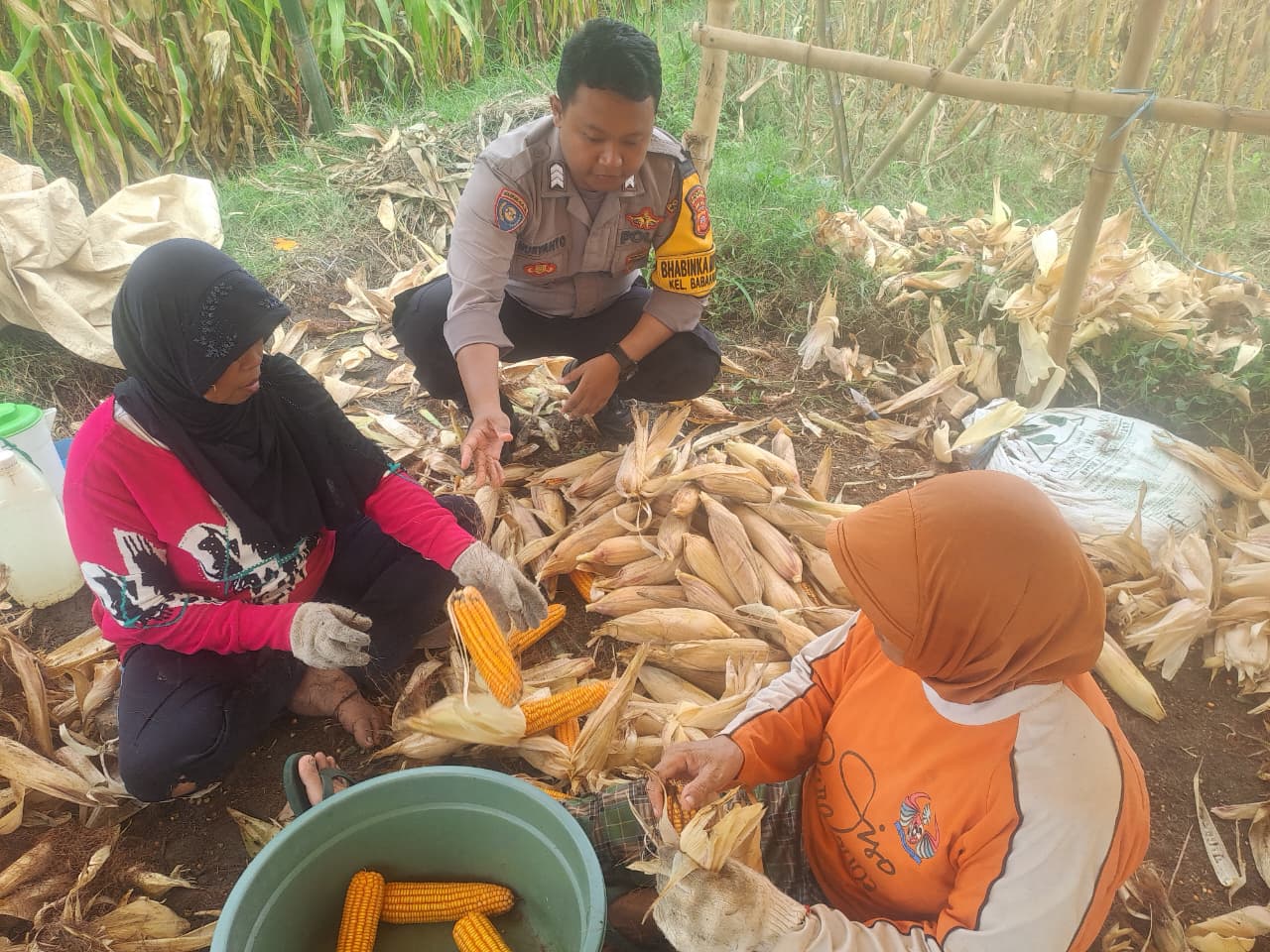 Gambar WhatsApp 2025-10-27 pukul 09.52.31_dbaad478